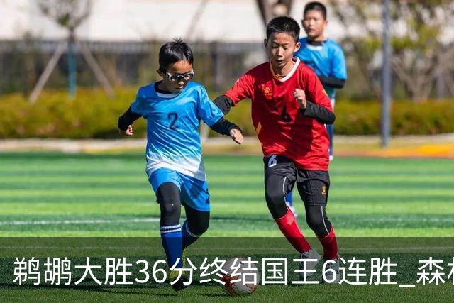 鹈鹕大胜36分终结国王6连胜 森林狼大胜尼克斯